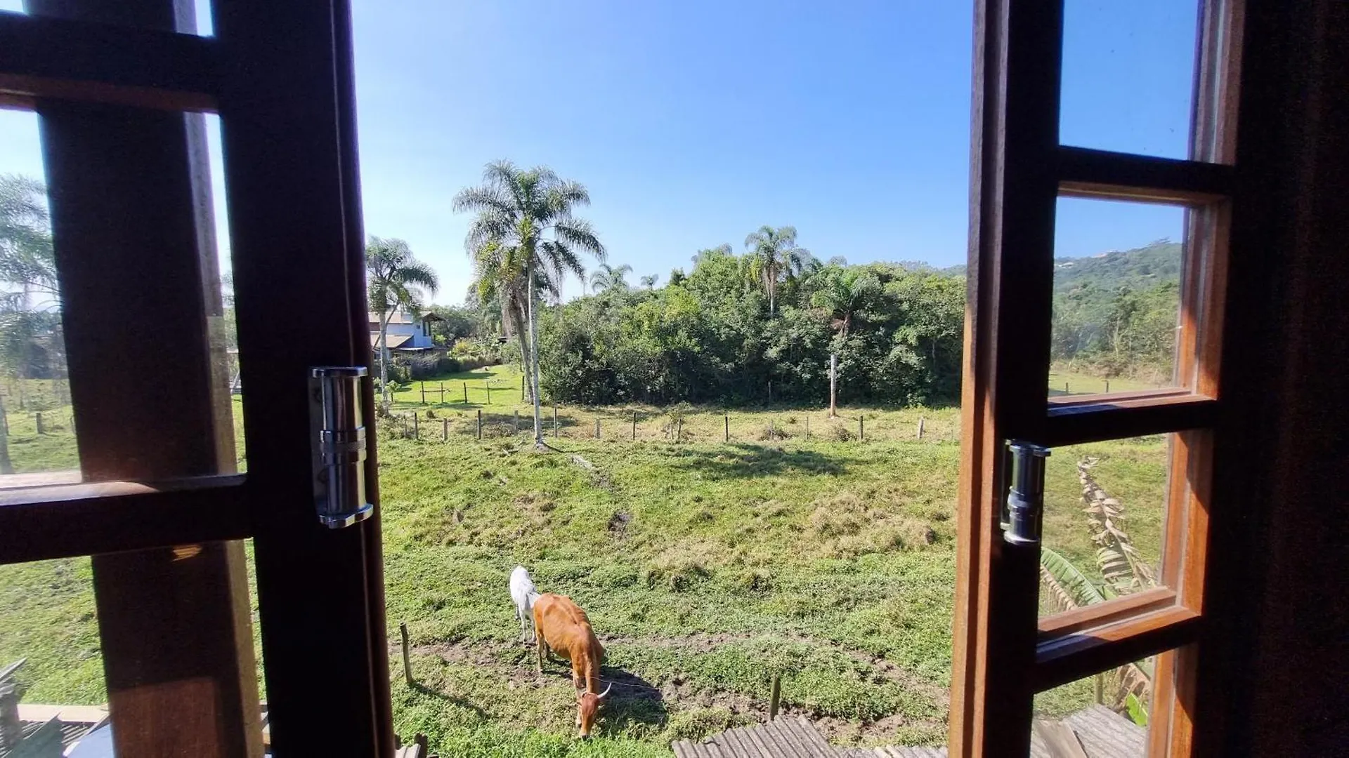 Arte Da Tribo Hostel & Camping Praia do Rosa