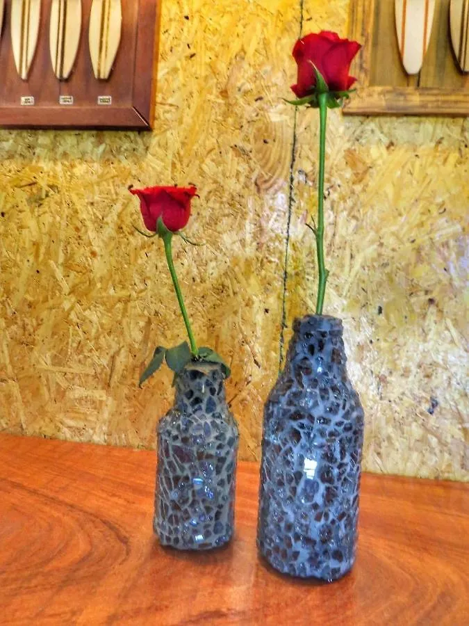 Arte Da Tribo Hostel & Camping Praia do Rosa