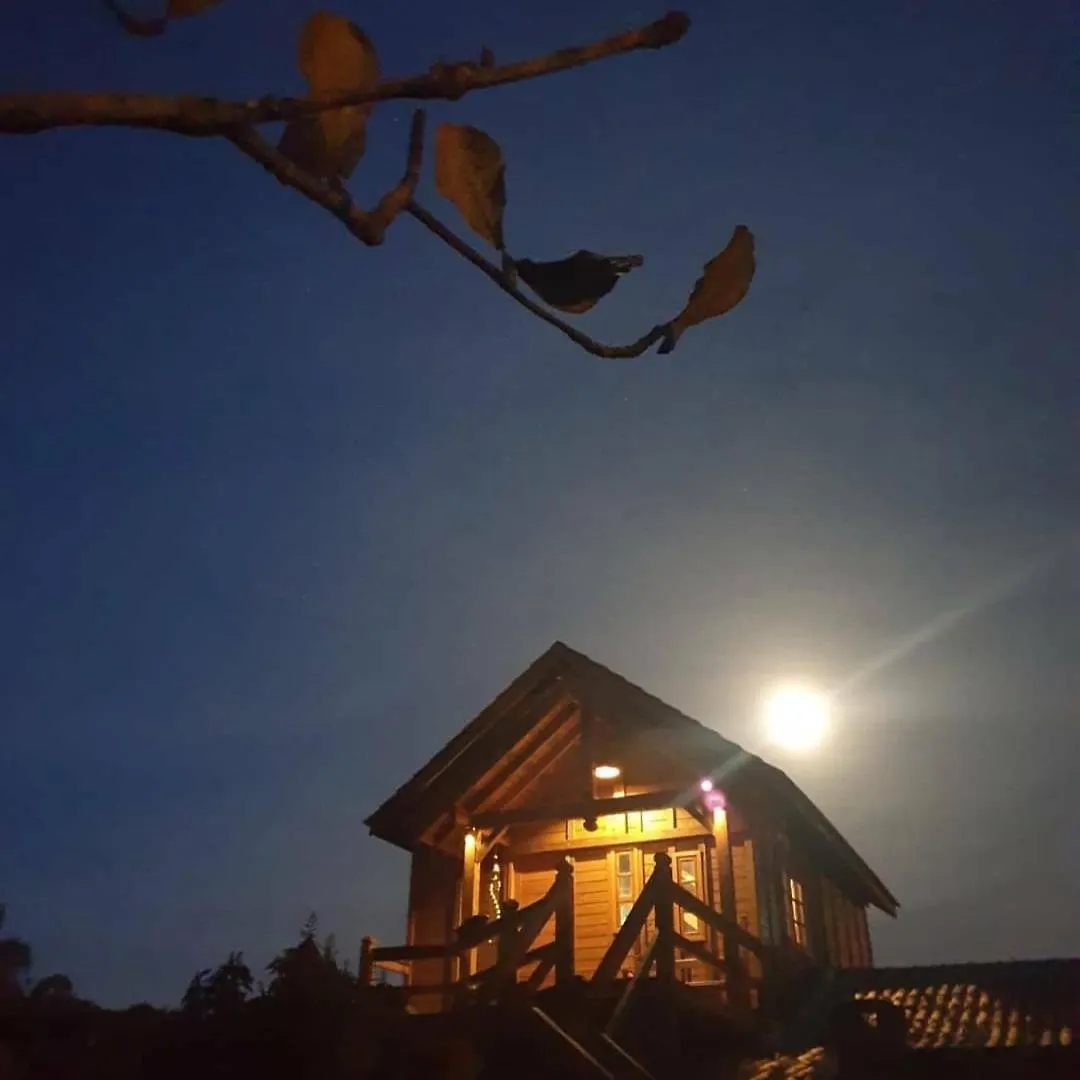 Arte Da Tribo Hostel & Camping Praia do Rosa